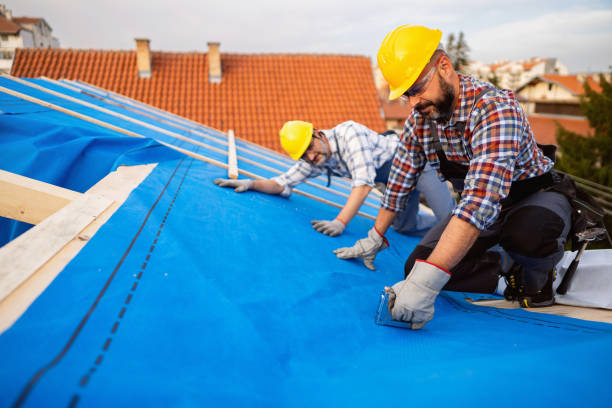 Quick and Trustworthy Emergency Roof Repair Services in Zellwood, FL